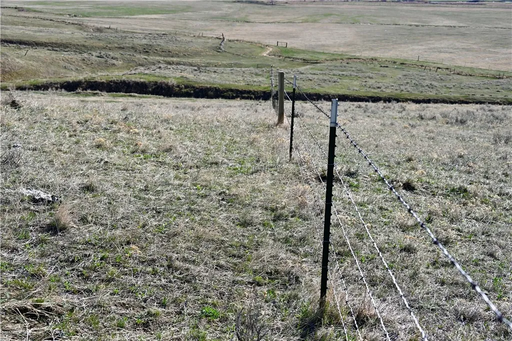 40 Acres Maki Johnson Road Roberts MT 59070
