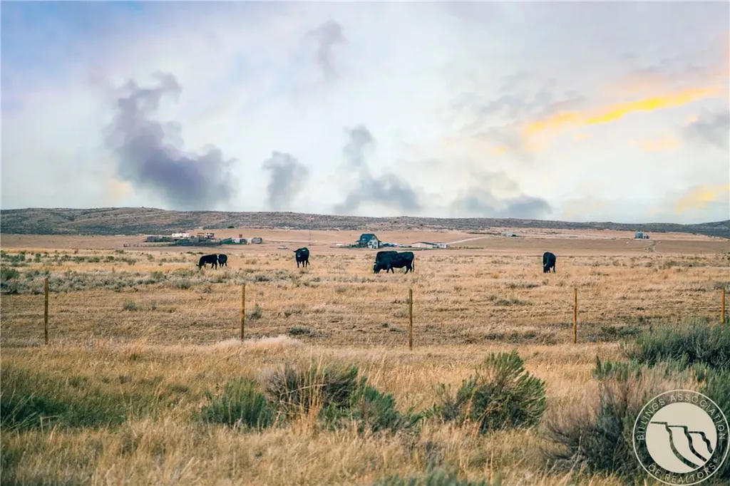 194 N Dry Creek Road Bridger MT 59014