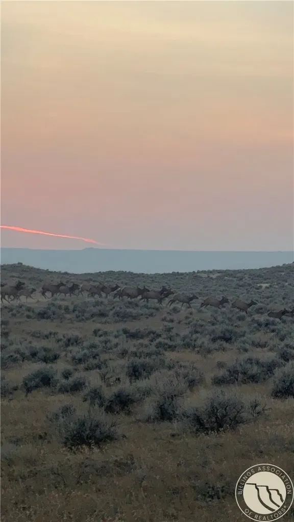 194 N Dry Creek Road Bridger MT 59014