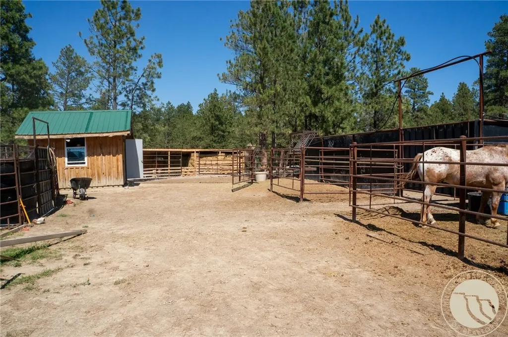448 W Parrot Creek Roundup MT 59072