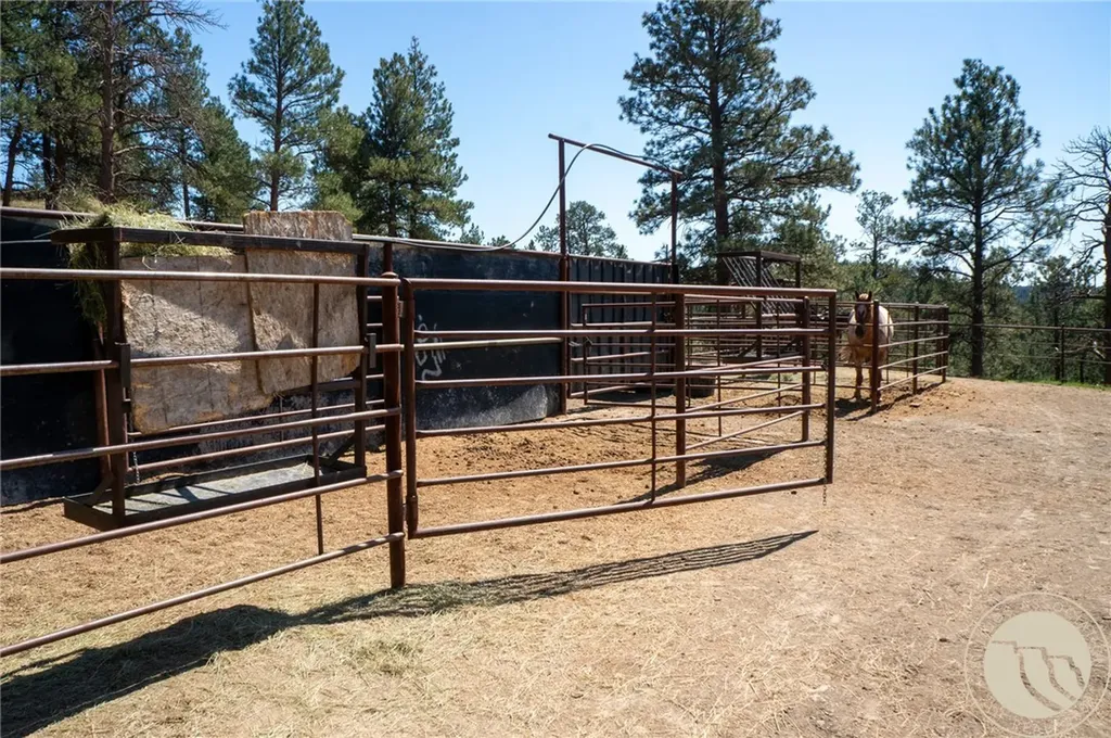 448 W Parrot Creek Roundup MT 59072