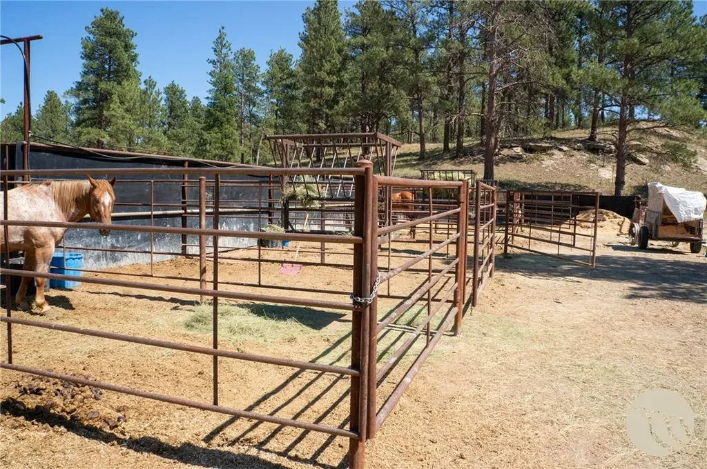 448 W Parrot Creek Roundup MT 59072