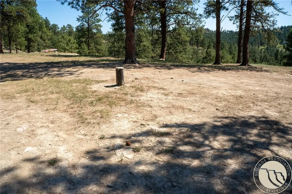 448 W Parrot Creek Roundup MT 59072