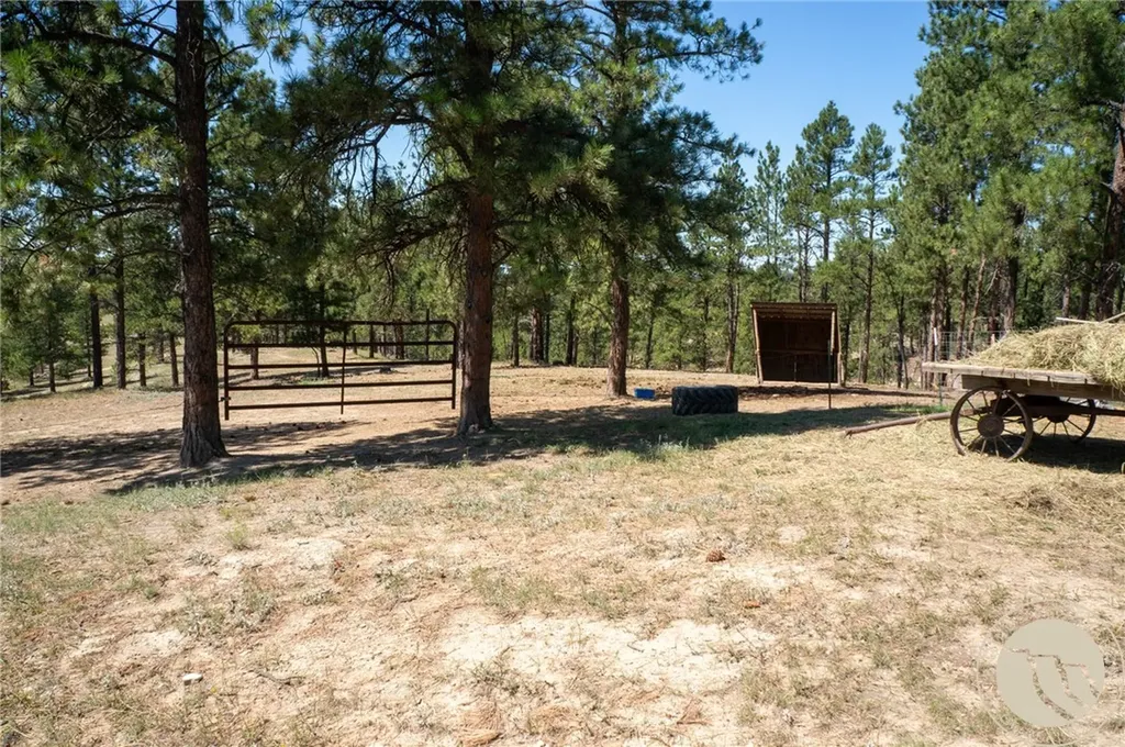 448 W Parrot Creek Roundup MT 59072