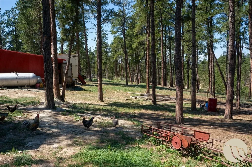448 W Parrot Creek Roundup MT 59072
