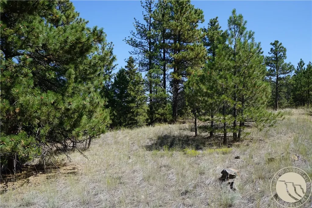 Tbd Ridge Crest Lane Other MT 59421
