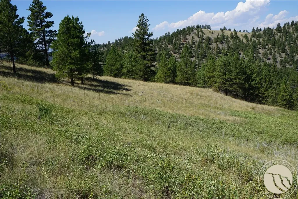 Tbd Ridge Crest Lane Other MT 59421