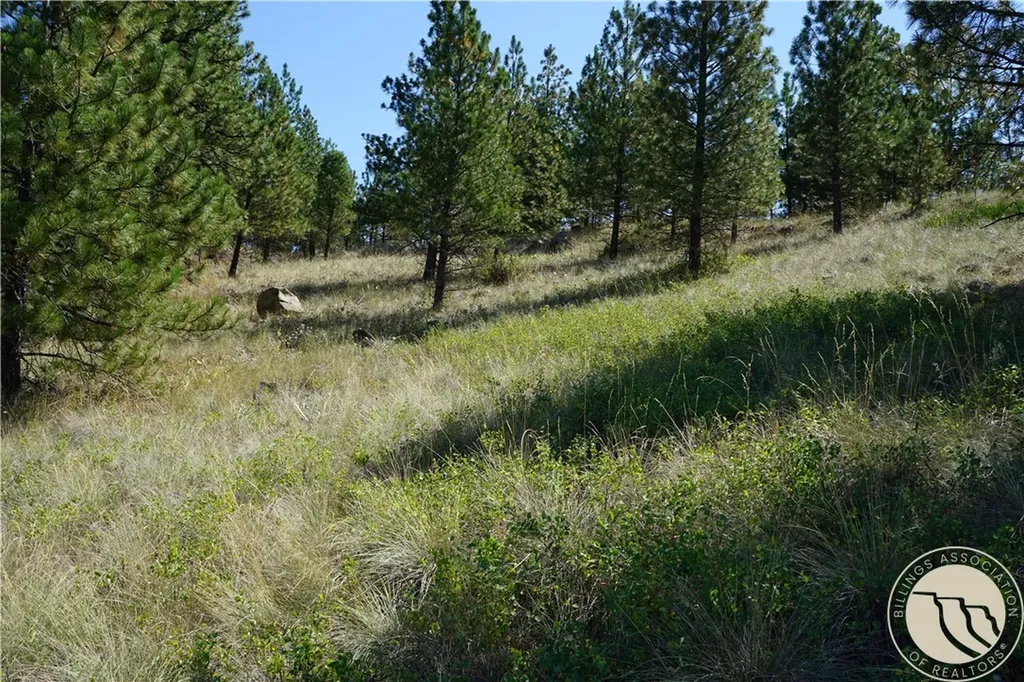 Tbd Ridge Crest Lane Other MT 59421