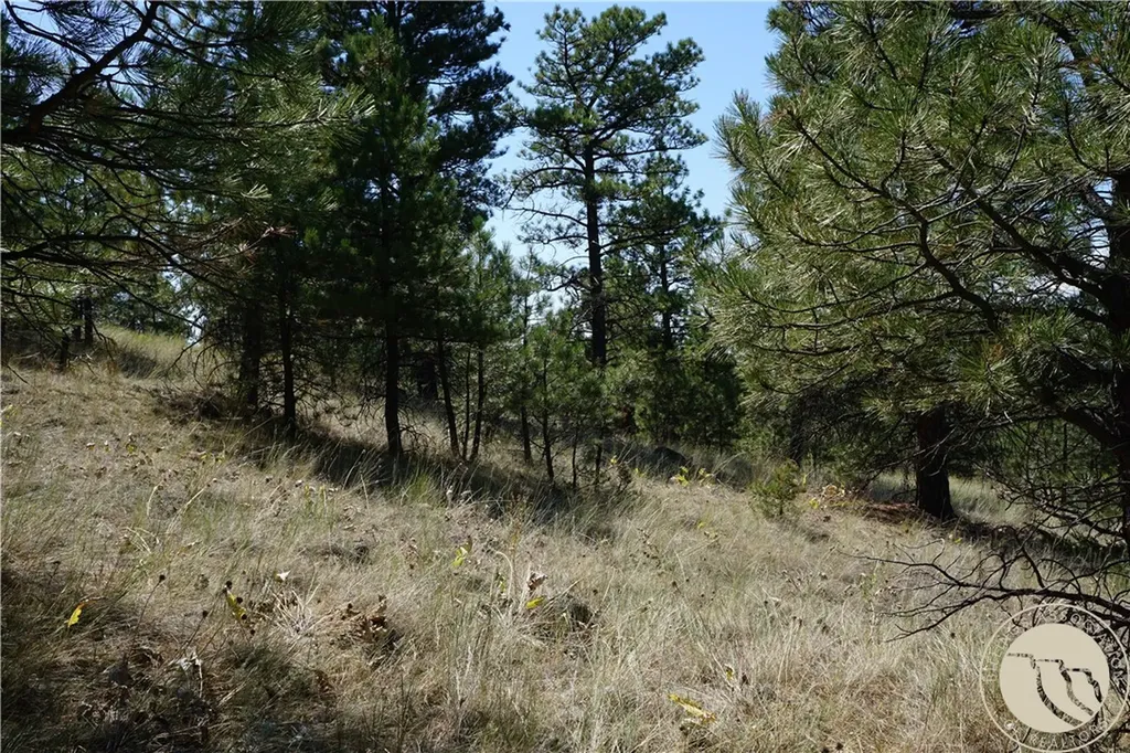 Tbd Ridge Crest Lane Other MT 59421