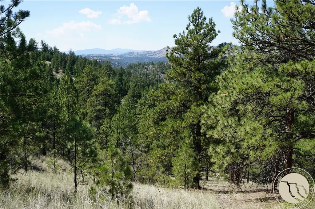Tbd Ridge Crest Lane Other MT 59421