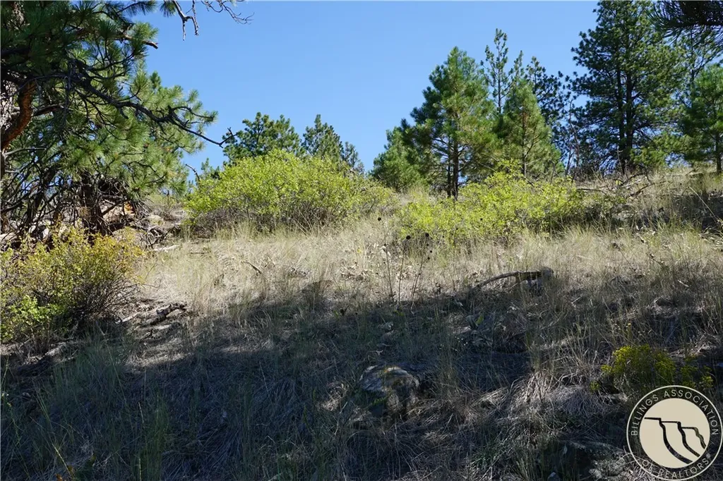 Tbd Ridge Crest Lane Other MT 59421