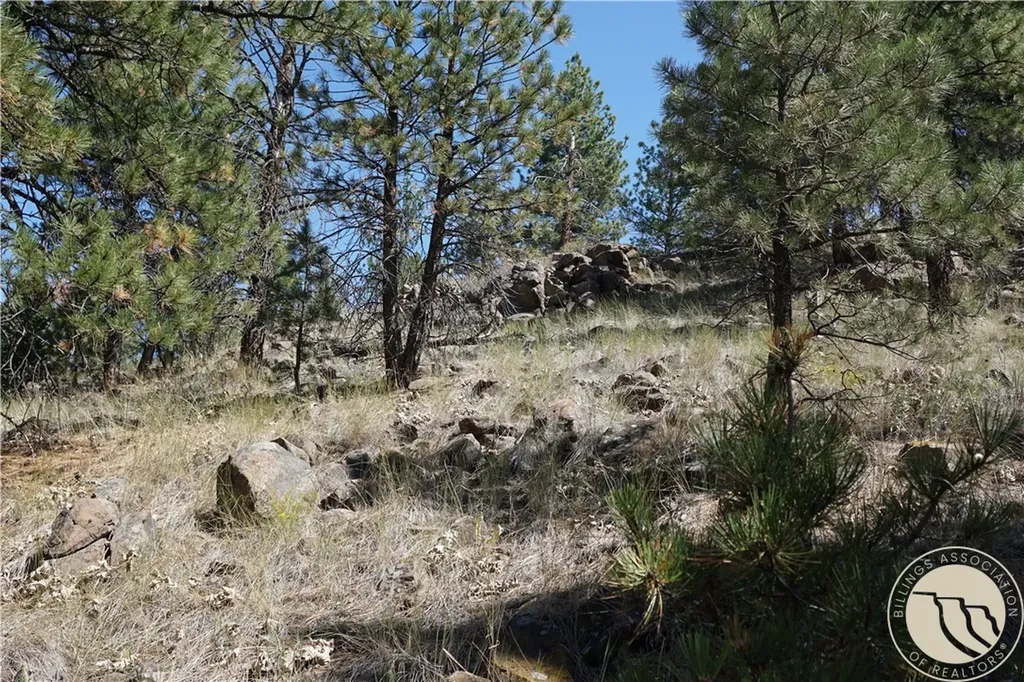 Tbd Ridge Crest Lane Other MT 59421