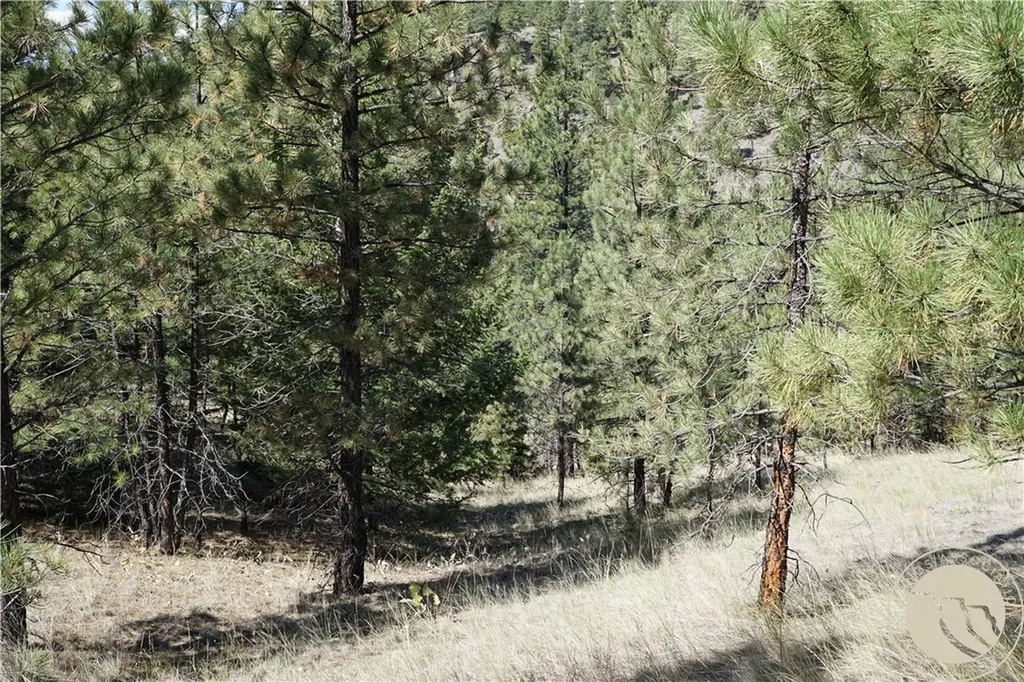 Tbd Ridge Crest Lane Other MT 59421