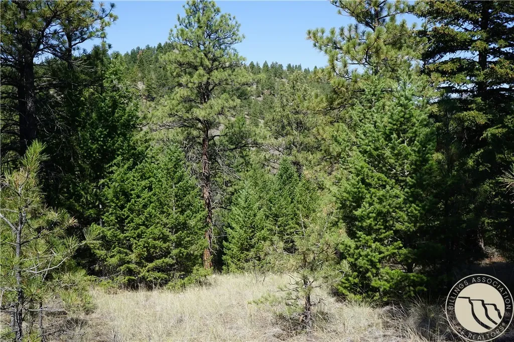 Tbd Ridge Crest Lane Other MT 59421