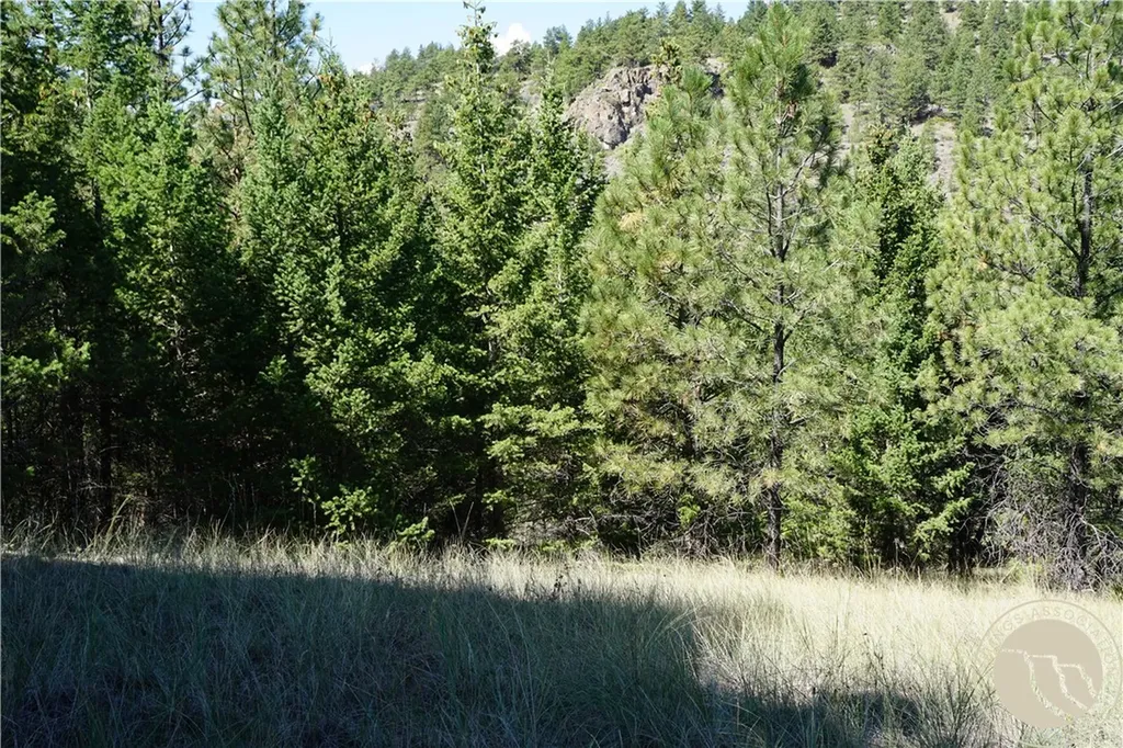 Tbd Ridge Crest Lane Other MT 59421