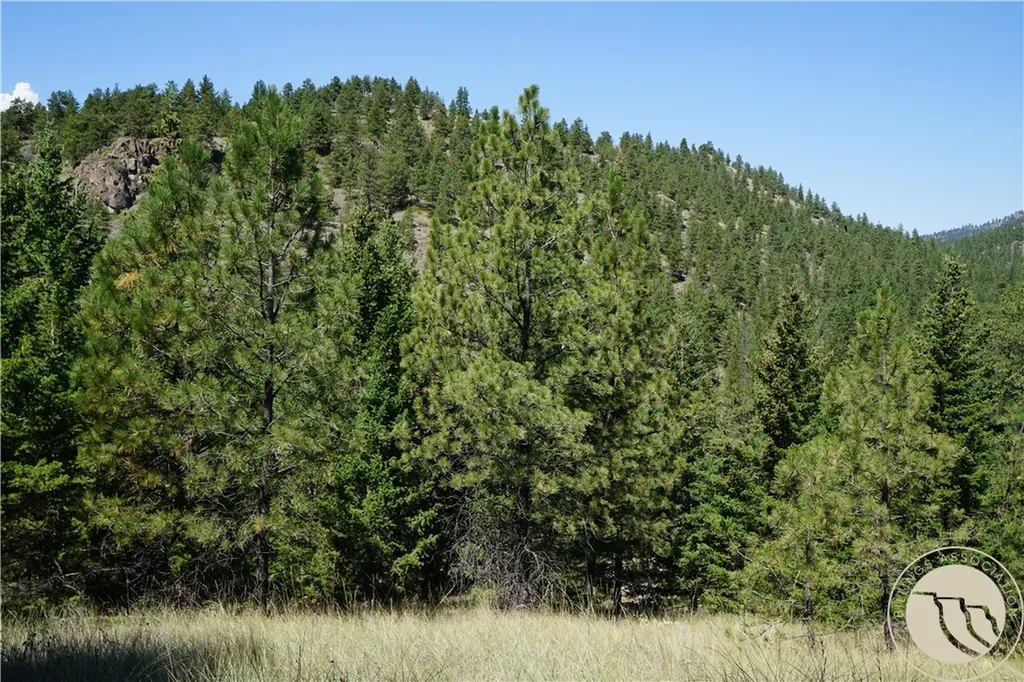 Tbd Ridge Crest Lane Other MT 59421