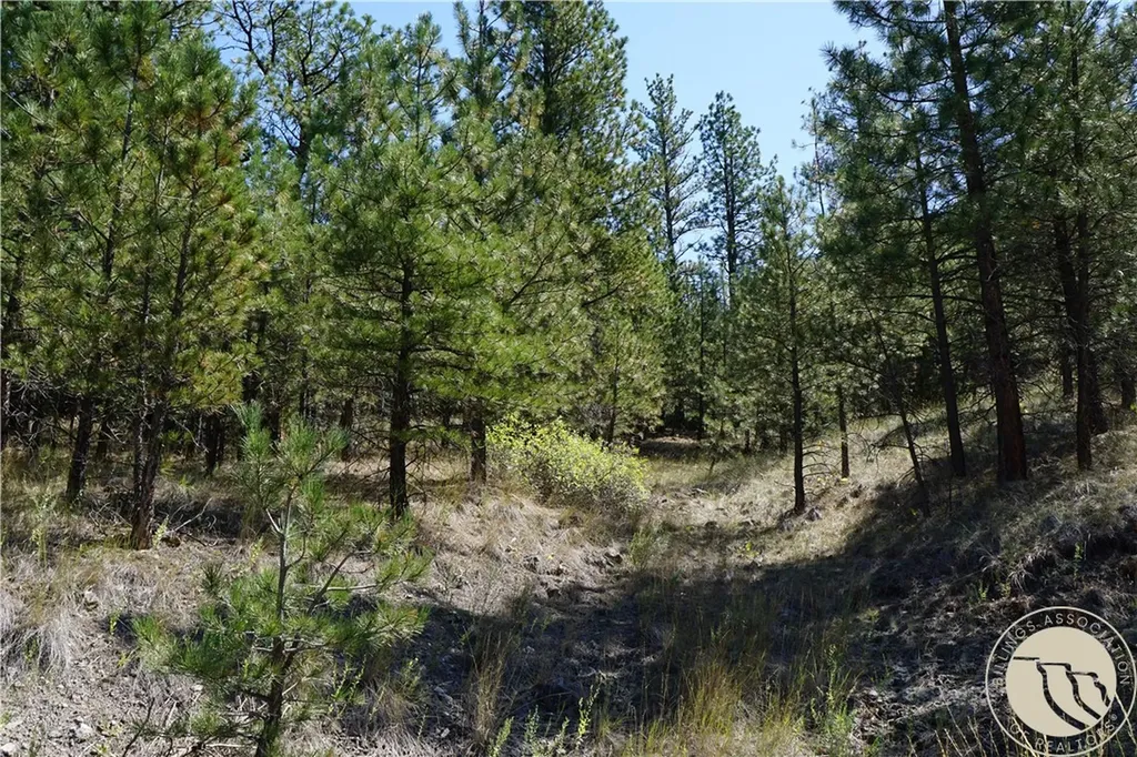 Tbd Ridge Crest Lane Other MT 59421