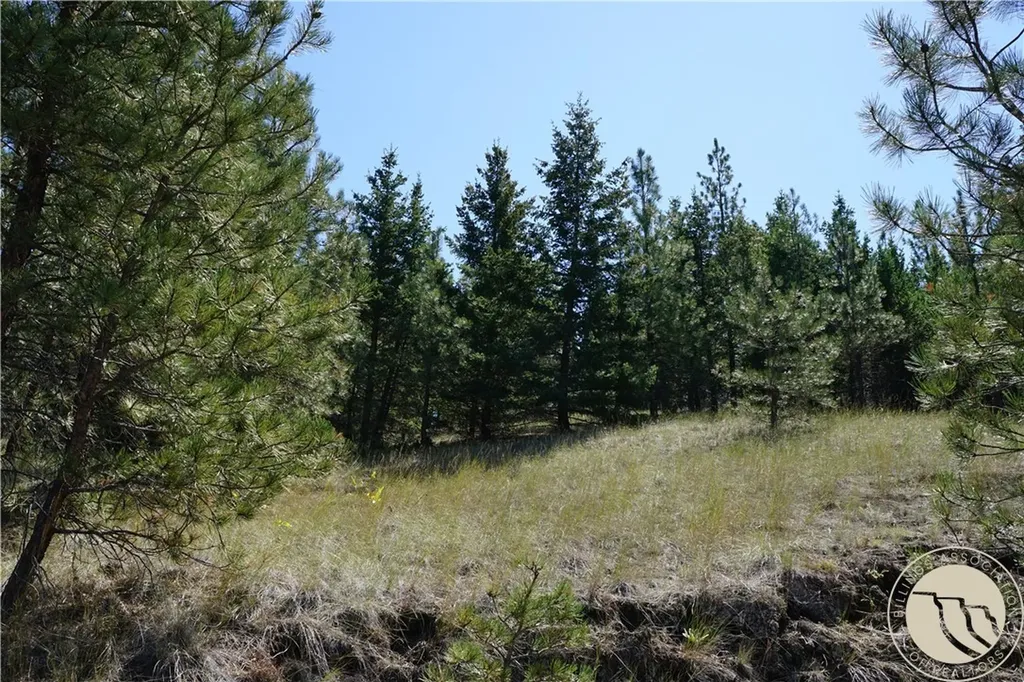 Tbd Ridge Crest Lane Other MT 59421