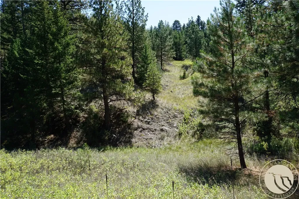 Tbd Ridge Crest Lane Other MT 59421