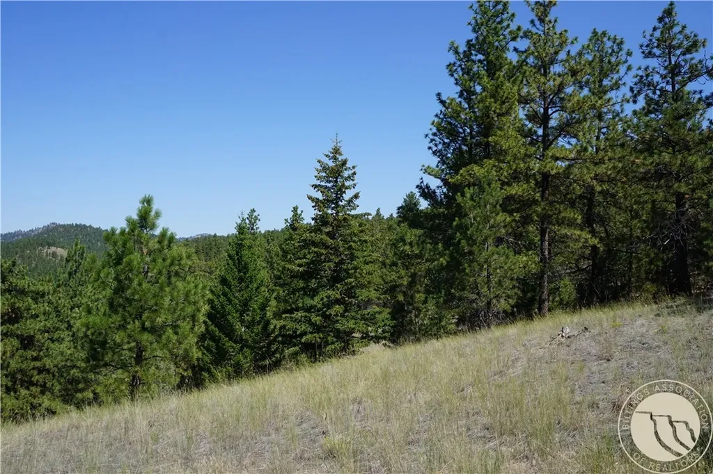 Tbd Ridge Crest Lane Other MT 59421