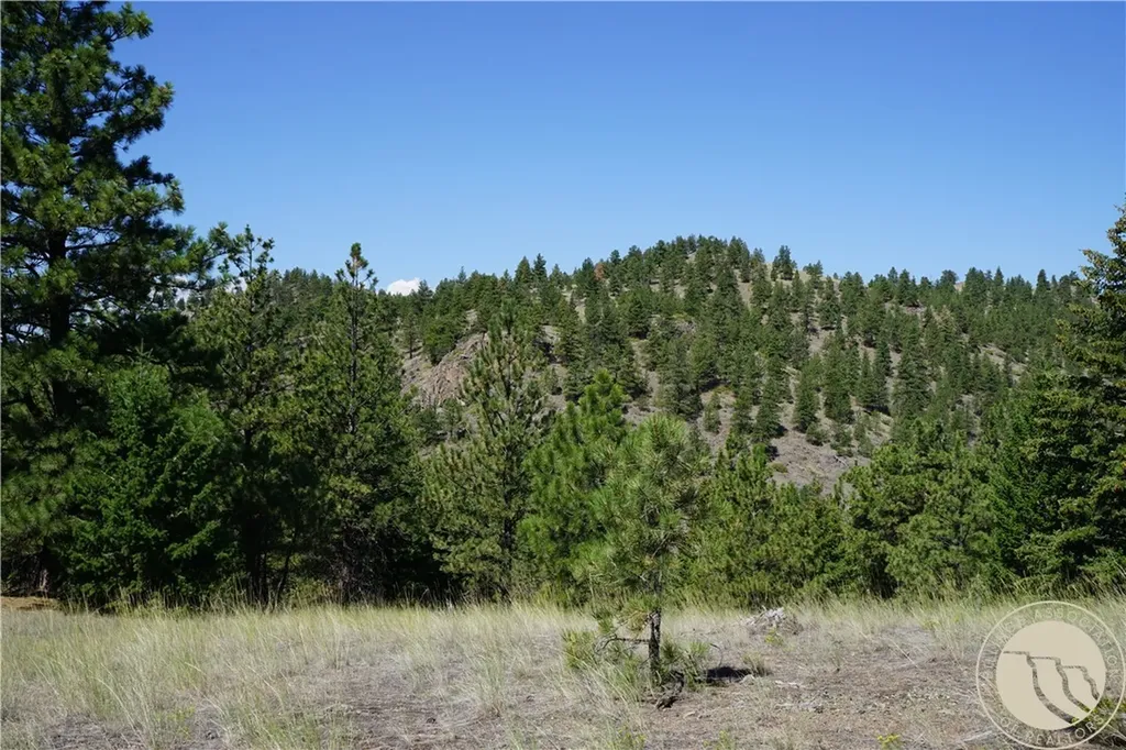 Tbd Ridge Crest Lane Other MT 59421