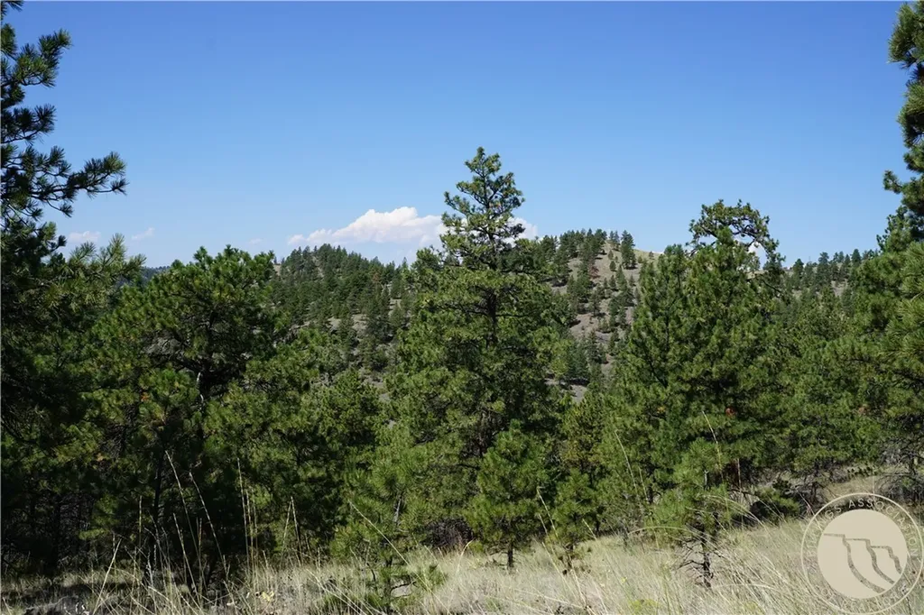 Tbd Ridge Crest Lane Other MT 59421