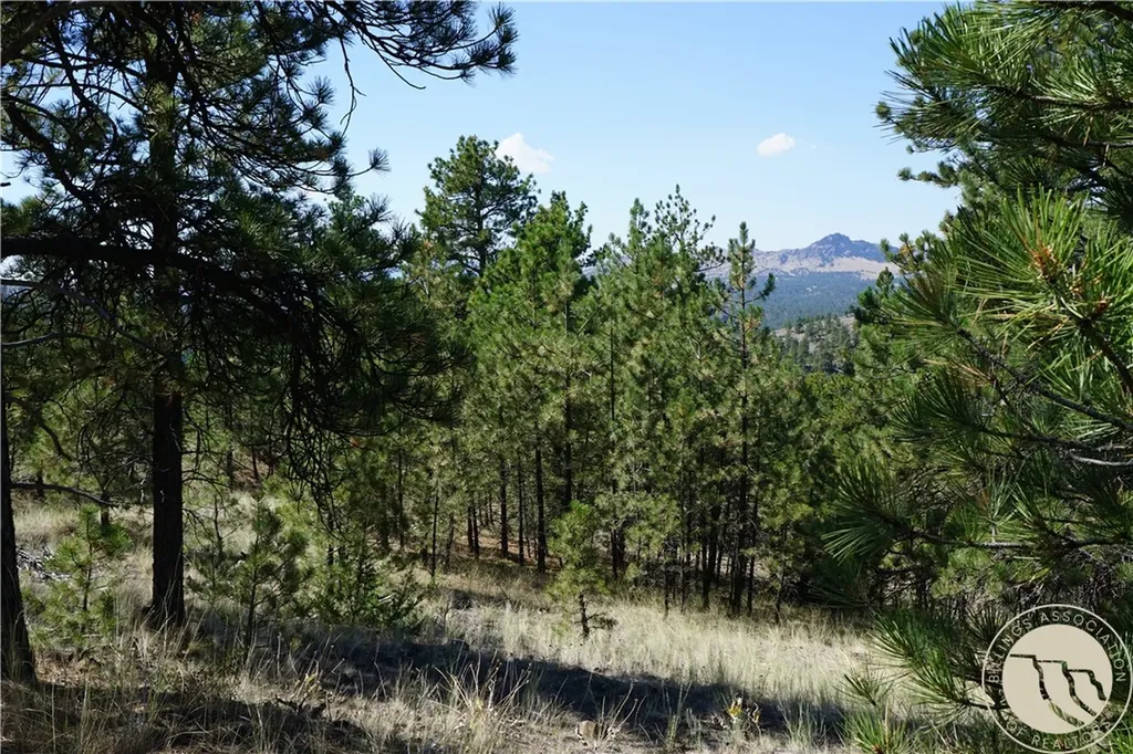Tbd Ridge Crest Lane Other MT 59421