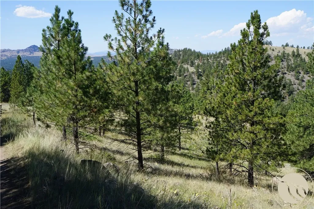 Tbd Ridge Crest Lane Other MT 59421