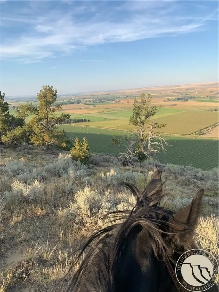 10 Pronghorn Lane Bridger MT 59014