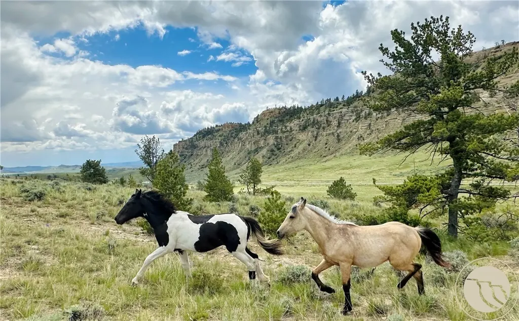 10 Pronghorn Lane Bridger MT 59014