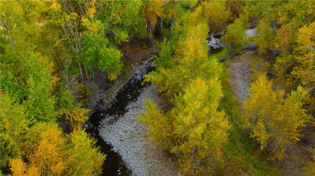 68 Bridger Creek Road Reed Point MT 59069
