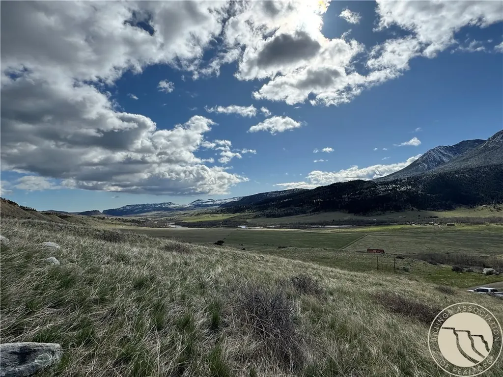 Lot 12 Elk Park Trail Nye MT 59061