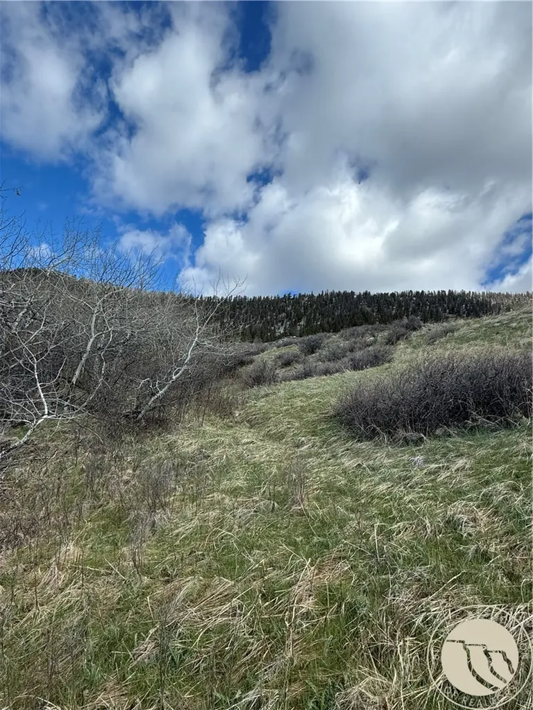Lot 12 Elk Park Trail Nye MT 59061