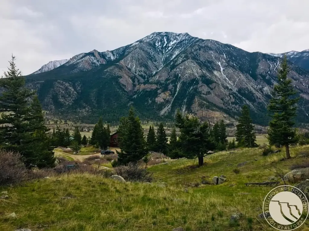 Lot 12 Elk Park Trail Nye MT 59061