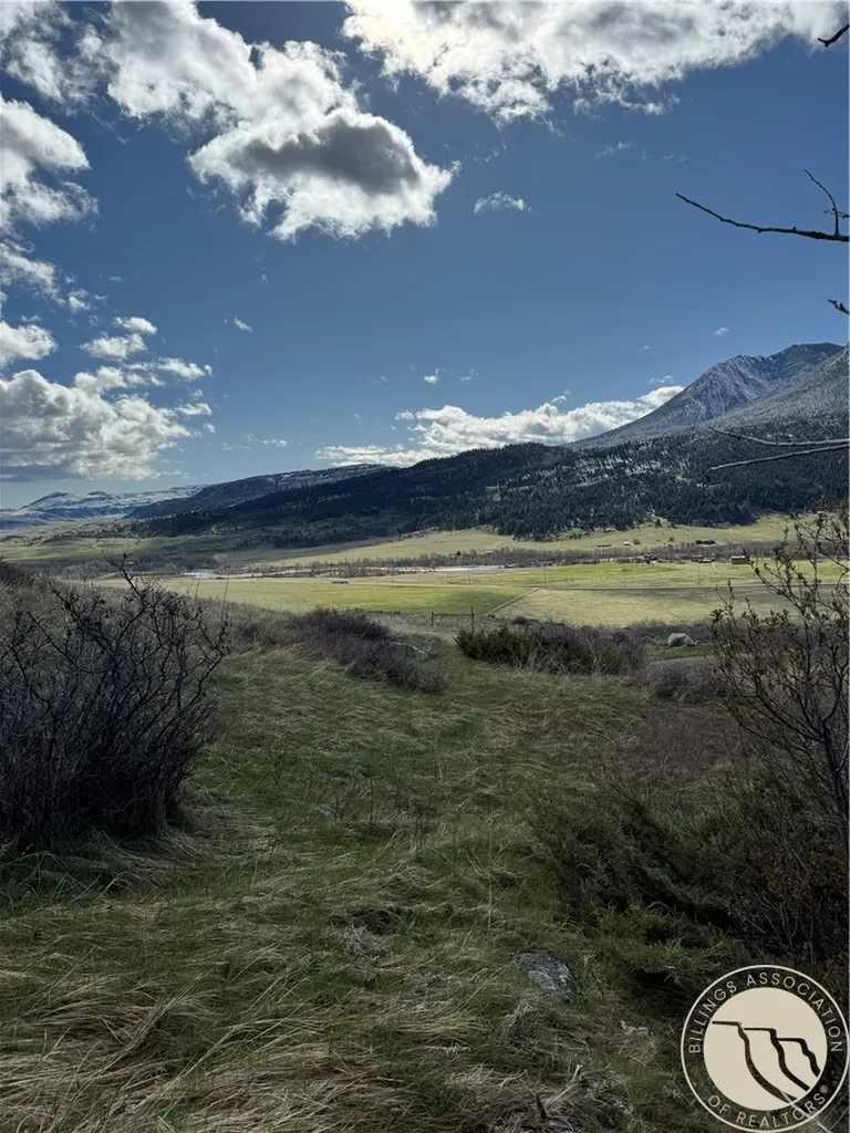 Lot 12 Elk Park Trail Nye MT 59061