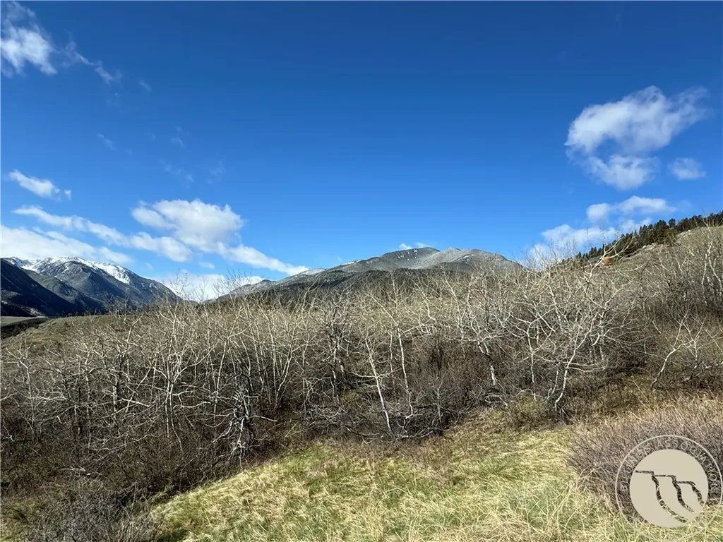 Lot 12 Elk Park Trail Nye MT 59061