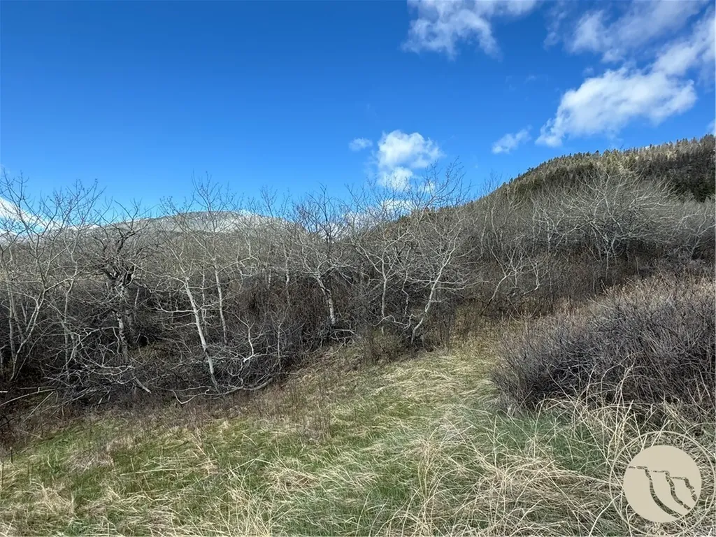 Lot 12 Elk Park Trail Nye MT 59061