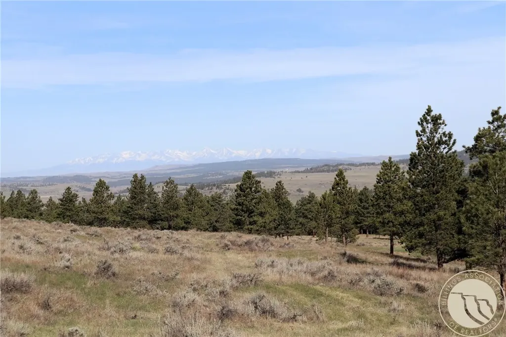 Lot 155 Cougar Trail Columbus MT 59019