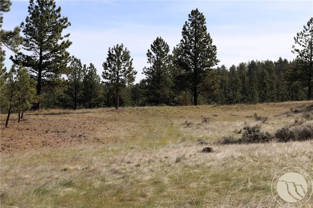 Lot 155 Cougar Trail Columbus MT 59019