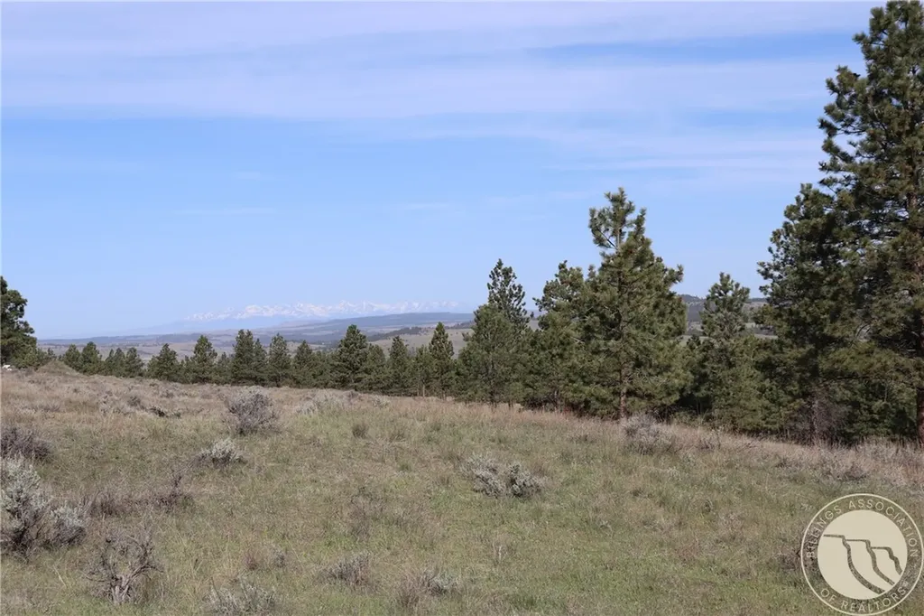 Lot 155 Cougar Trail Columbus MT 59019