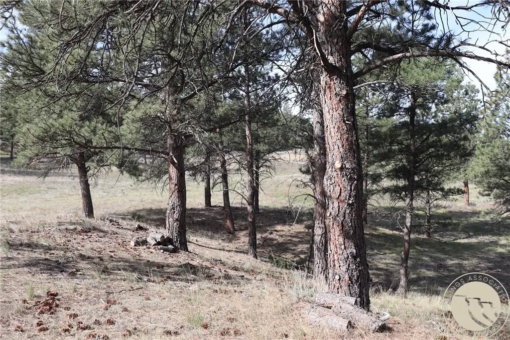 Lot 155 Cougar Trail Columbus MT 59019