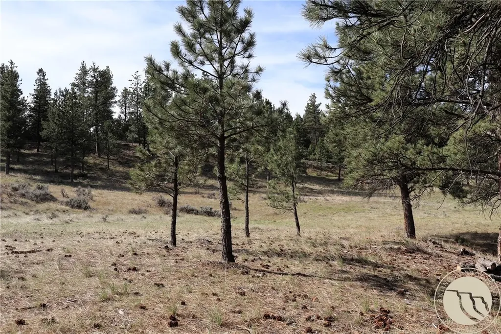 Lot 155 Cougar Trail Columbus MT 59019