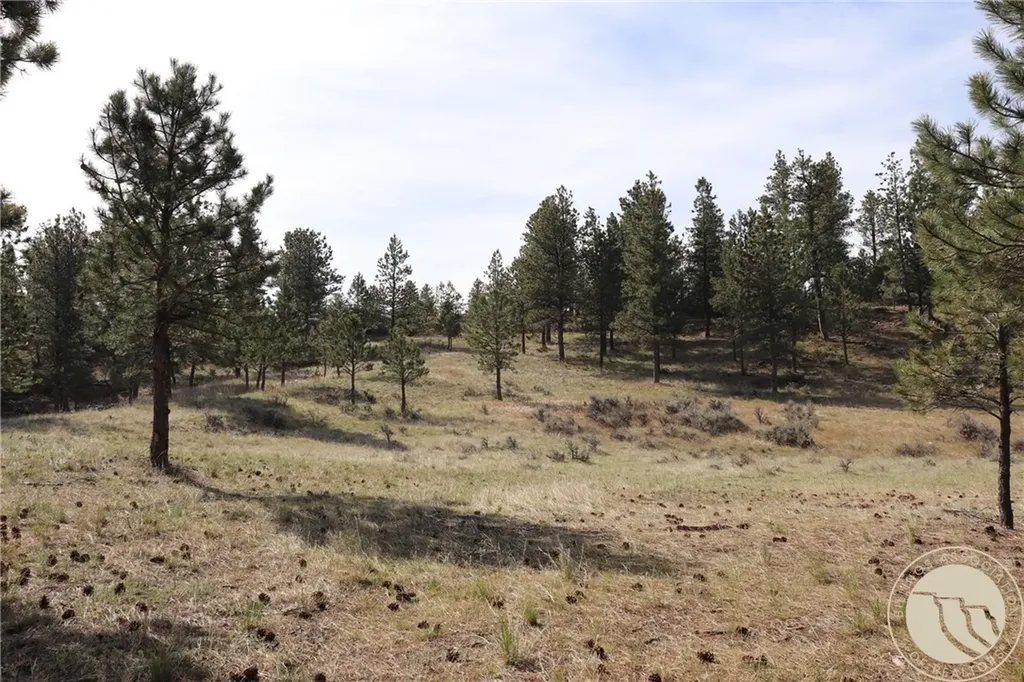 Lot 155 Cougar Trail Columbus MT 59019