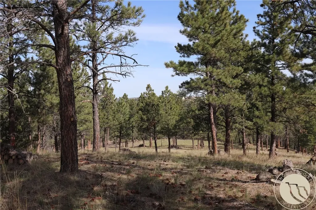 Lot 155 Cougar Trail Columbus MT 59019
