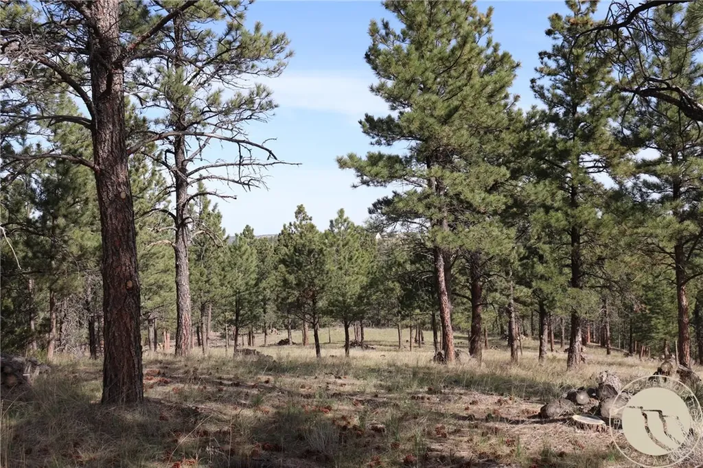 Lot 155 Cougar Trail Columbus MT 59019