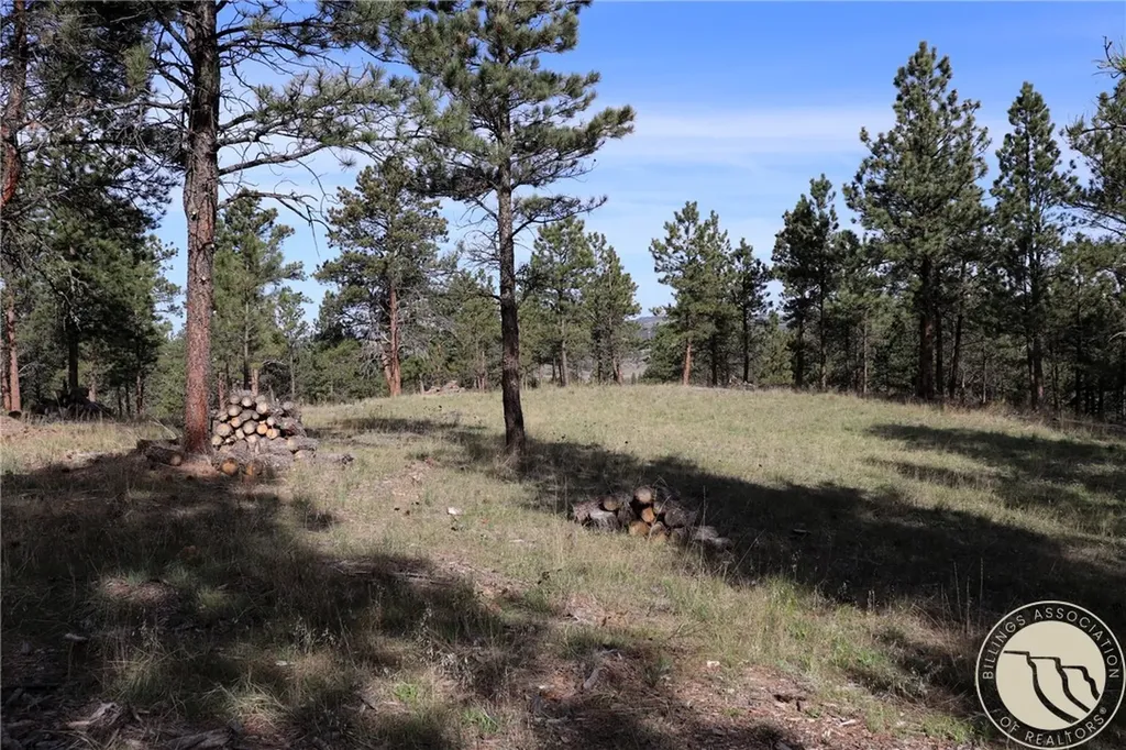 Lot 155 Cougar Trail Columbus MT 59019