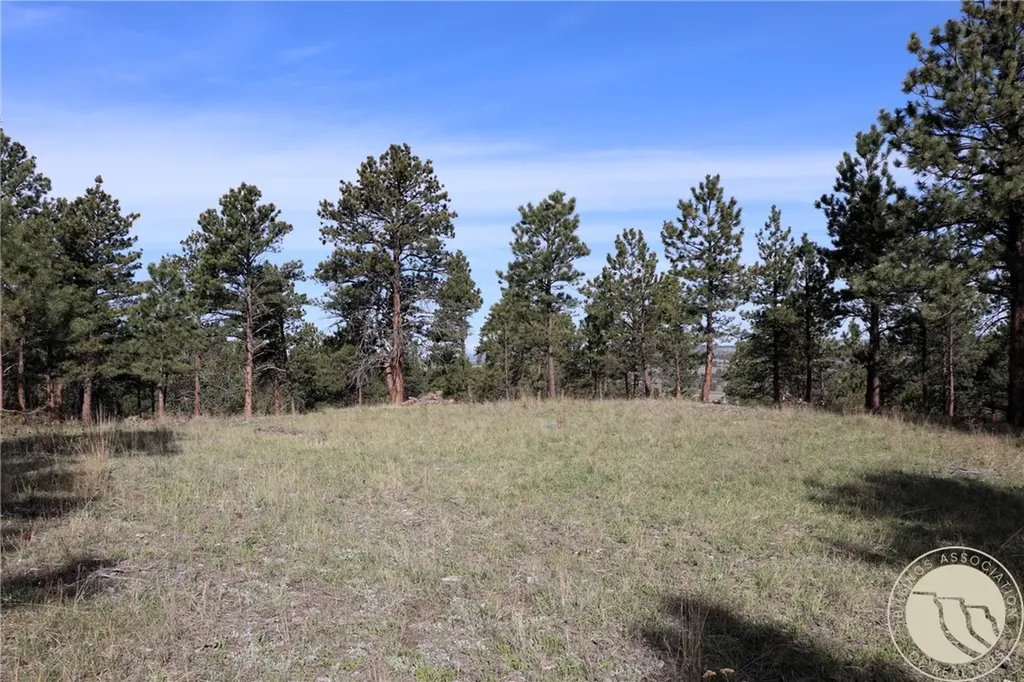 Lot 155 Cougar Trail Columbus MT 59019