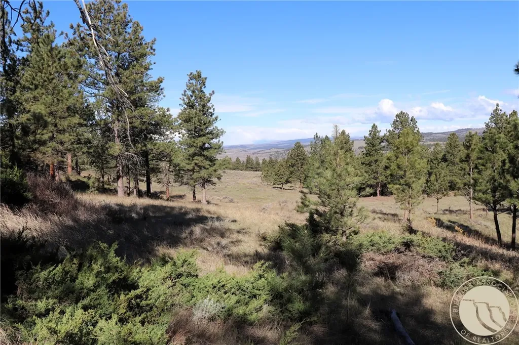 Lot 155 Cougar Trail Columbus MT 59019