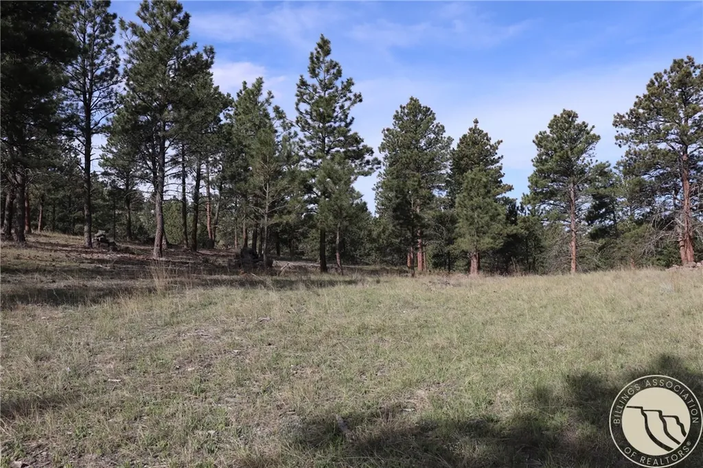 Lot 155 Cougar Trail Columbus MT 59019