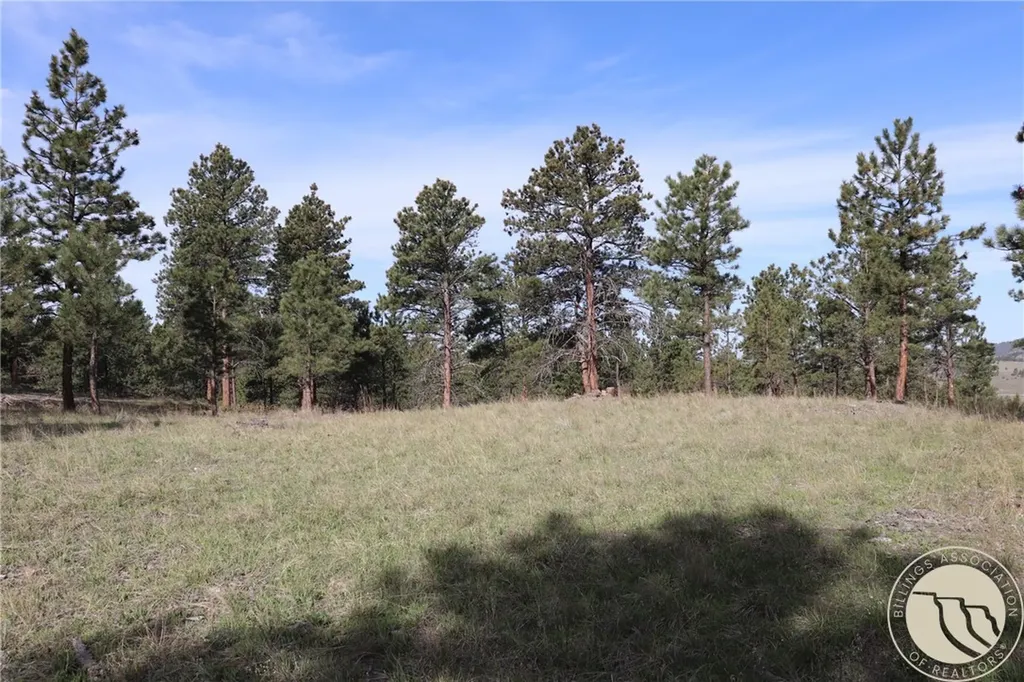 Lot 155 Cougar Trail Columbus MT 59019